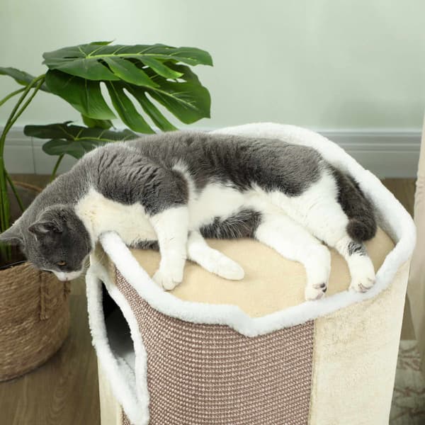 Kradsetræ til katte, 3 niveauer, blødt plys, beige