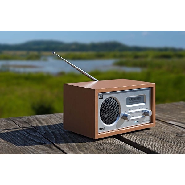 DABMAN 30 Mobiili DAB+ / FM-radio Puu