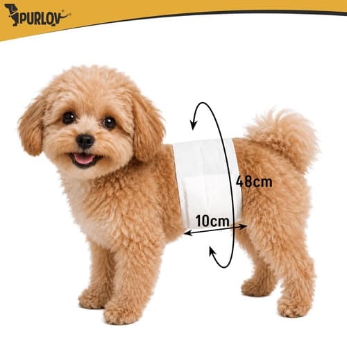Hundebleer SM, Absorberende, 12-pak, 30-46 cm