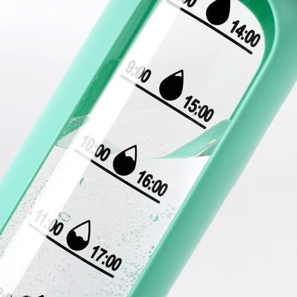 Glasvattenflaska med mintgrönt silikonfodral, 600 ml