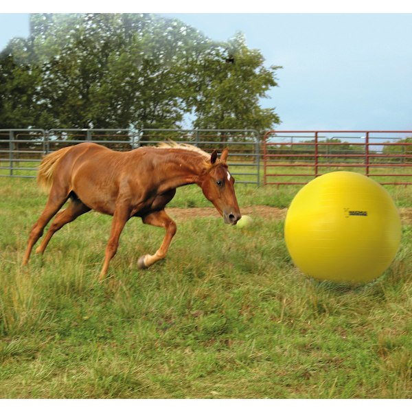 Maximus Power Play -pallo 100 cm