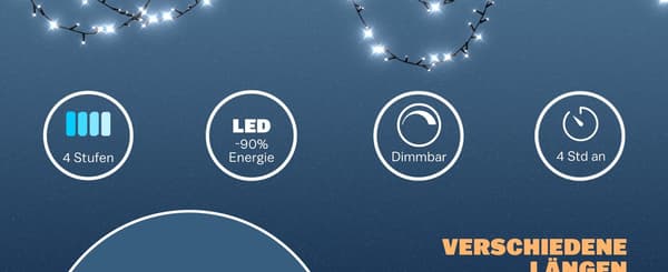 Lyskæder 6m 100 LED'er Blå, Timer, Indendørs/Udendørs