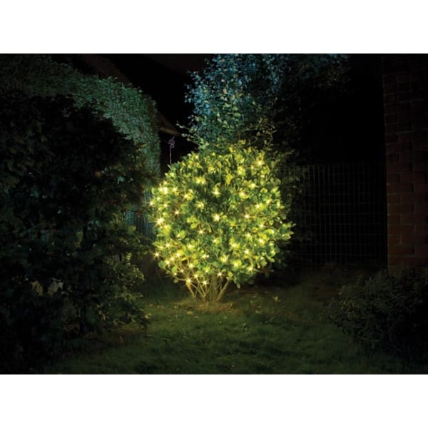 Smart Netlight Led - 1,2 X 1,2 M - 60 varme hvide lamper - Grøn ledning - Modulator - Batterier medfølger ikke