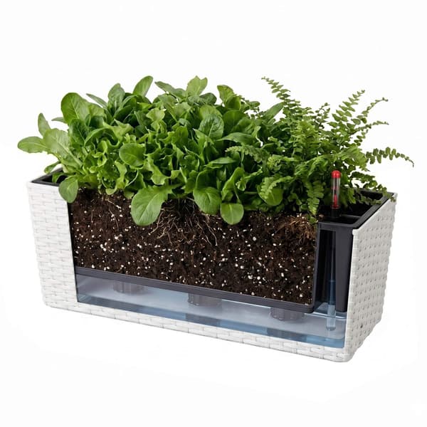 Balkongrotningplanter med vattennivåindikator, vit