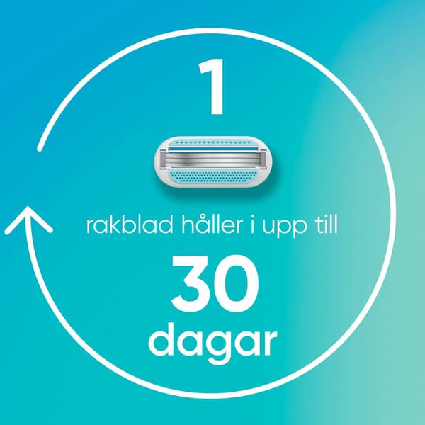 Barberblade Glat 8 stk