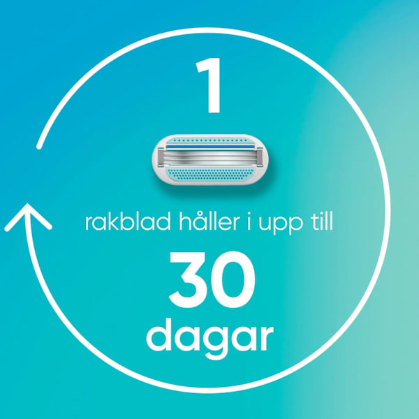 Partakoneen terät Smooth 8kpl