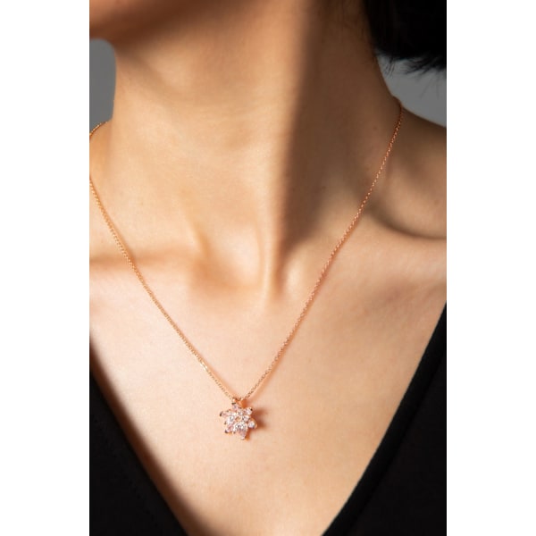 Metallhalsband CK9545B