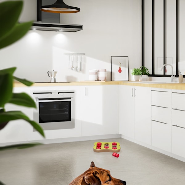 Älykkäät lelut koirille