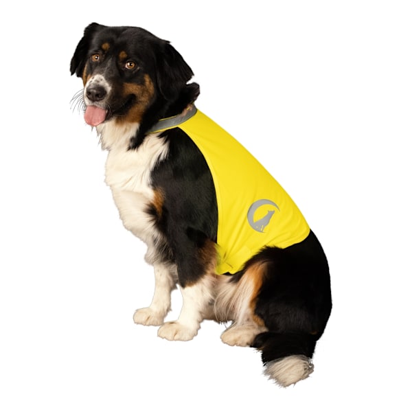 Nightwalk Dog Safety Vest Gul Lille
