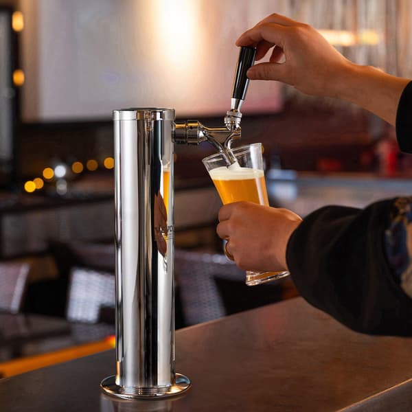 Enkelt hane rustfrit stål kegerator tårnsæt, W21.8 regulator, A-kobling