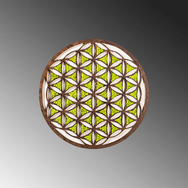Dekorativt vægtilbehør Geometrisk