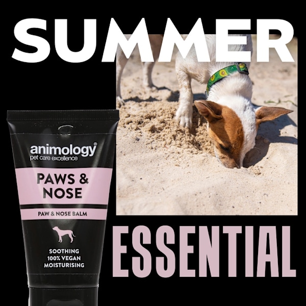 Animologi Paws &amp; Näsbalsam 50ml