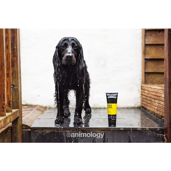 Animology Fox Poo Shampoo