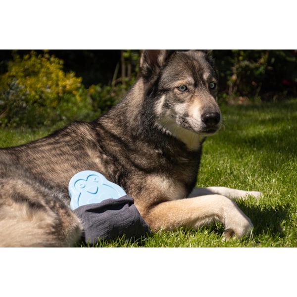 CoolPets jäähdyttävä jääpingviini