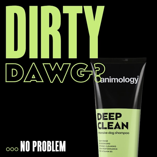 Animology Deep Clean shampoo