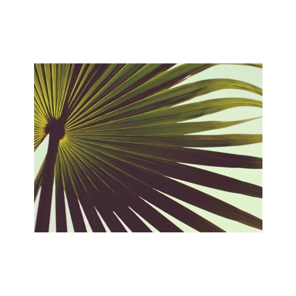 Palm Textures - 50x70 cm