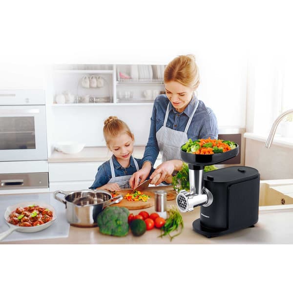BD-600 Berdsen 300/800W köttkvarn