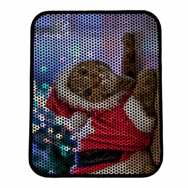 Kattsand Mat Nrszn0175