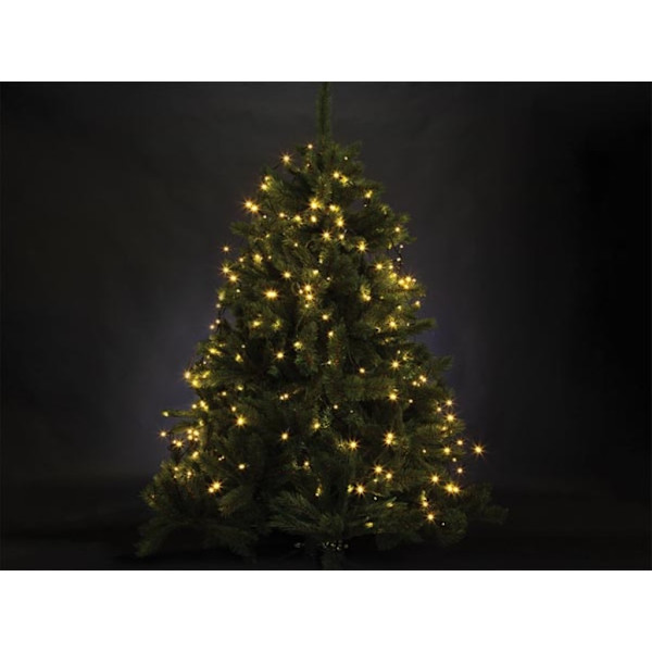 Atria Led - Puulle 1,8 M - 220 lämpimänvalkoiset lamput - Vihreä johto - 24 V