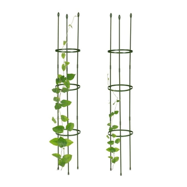 Trellis set om 2