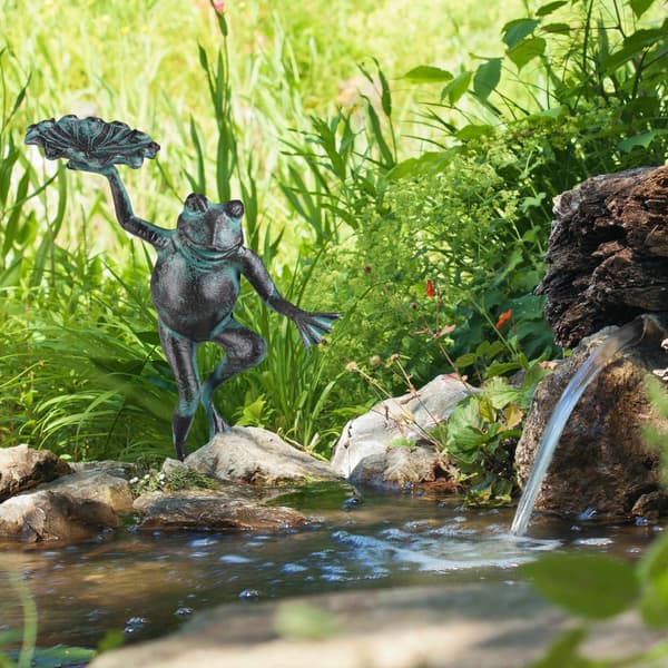 Havefigur frø