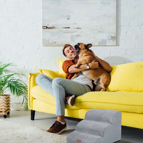 Hundtrappa med 3 trappsteg