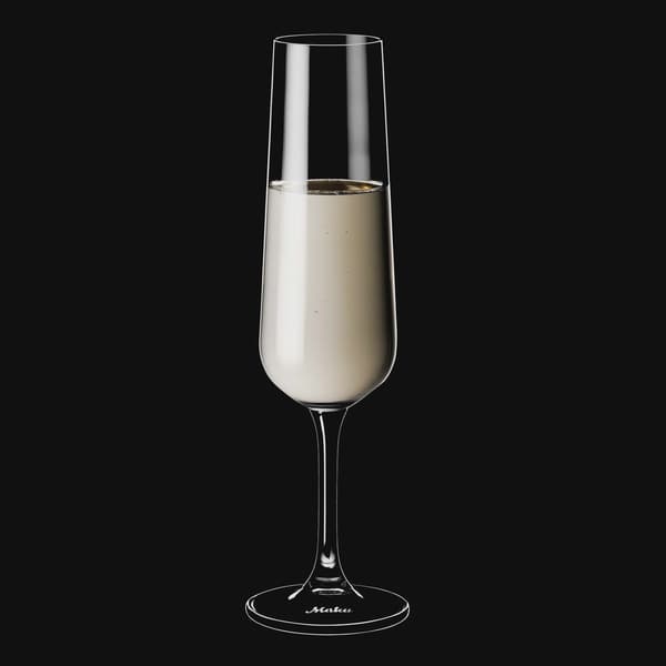 Champagneglas, 20,5 cl, 2-pack, slitstarkt glas