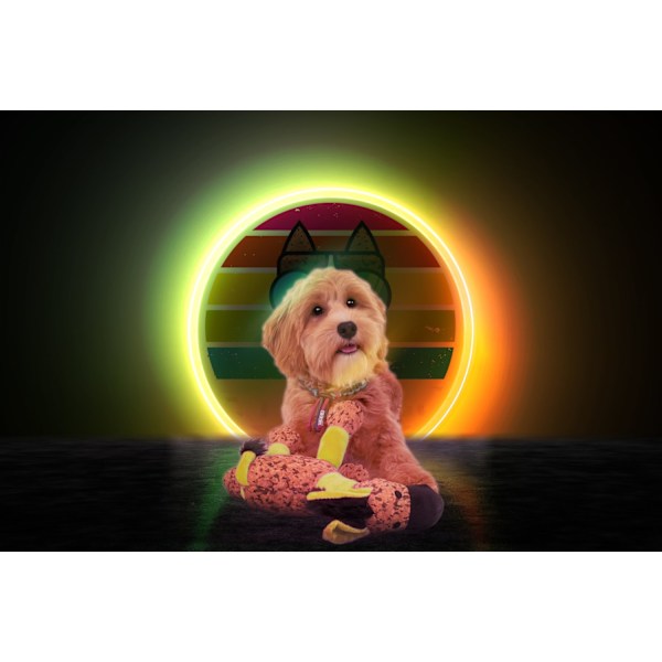 Retrodog Donkey Yellow M