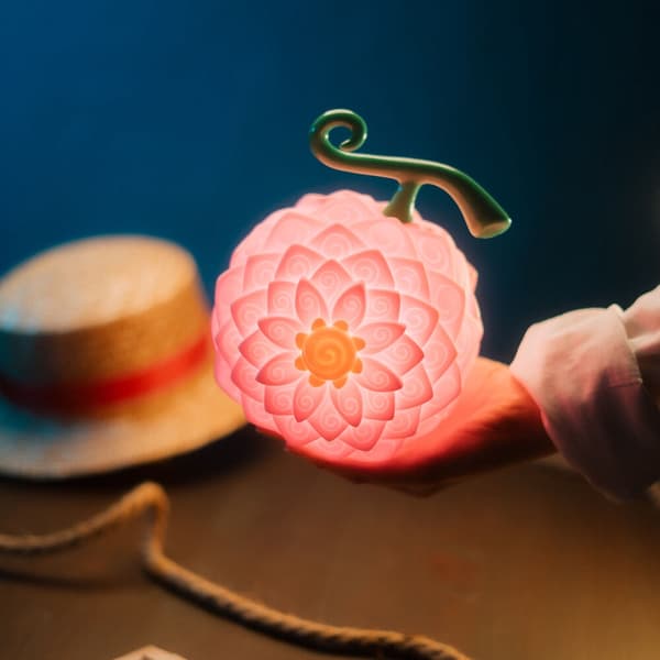One Piece Flower-Fruit -lamppu