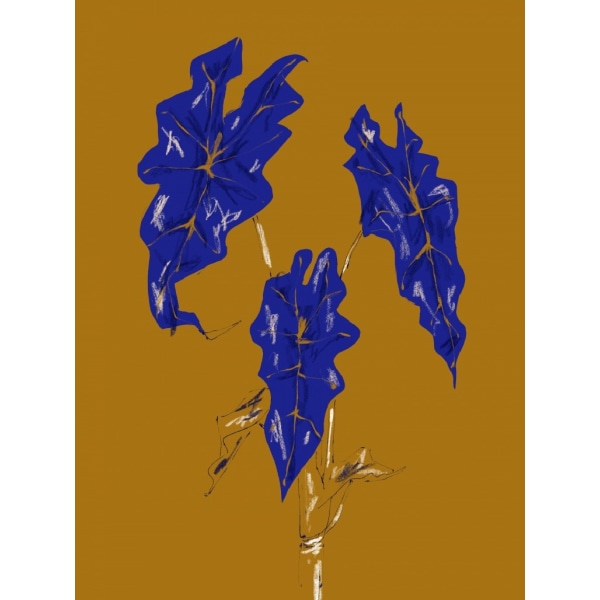 Alocasia Polly Mustard - 21x30 cm