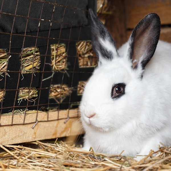 Heinäpussi pienille eläimille