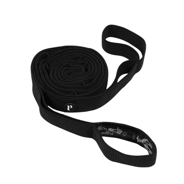 SWEDISH POSTURE Mini Gym