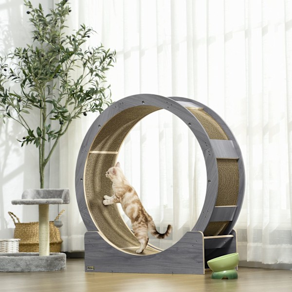 Cat Balance Bike kissoille 91 cm jarrulla, raaputuslautalla, kissapyörällä terveelliseen harjoitteluun, rentoutumiseen, harmaa