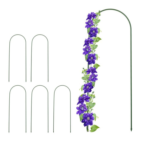 Arch Vine -tukisarja 6 kpl