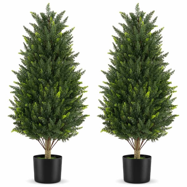 Tekosypressipuu, 92 cm, säänkestävä, 2 kpl