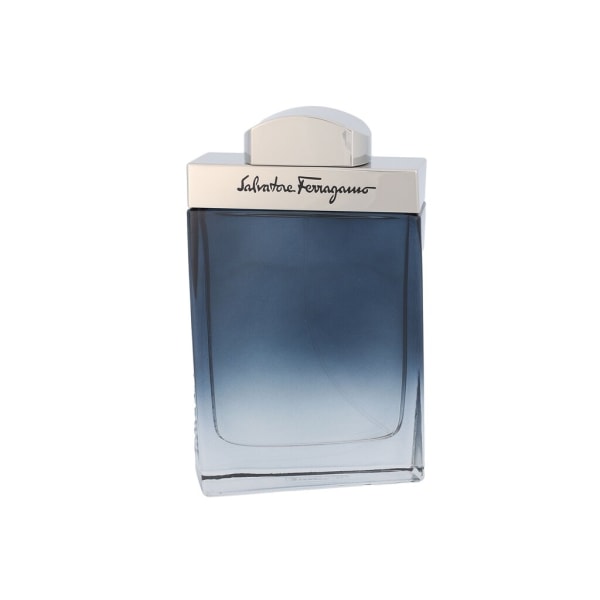 Salvatore Ferragamo - Subtil Pour Homme - For Men, 100 ml