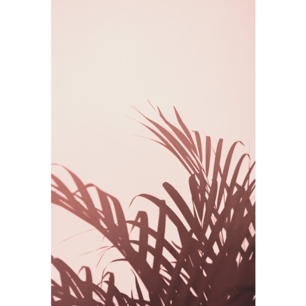 Palm Leaves_2 - 50x70 cm