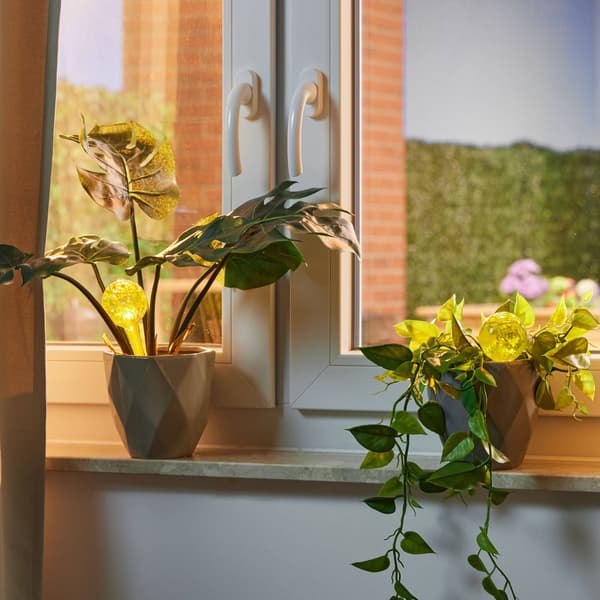 Vattenbollar i glas om 4