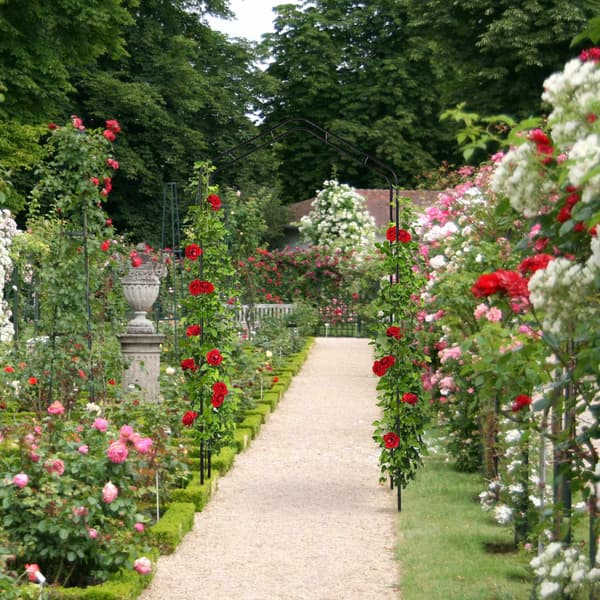 Metal Rose Arch i sort