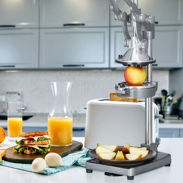 Juicer manuel rustfrit stål