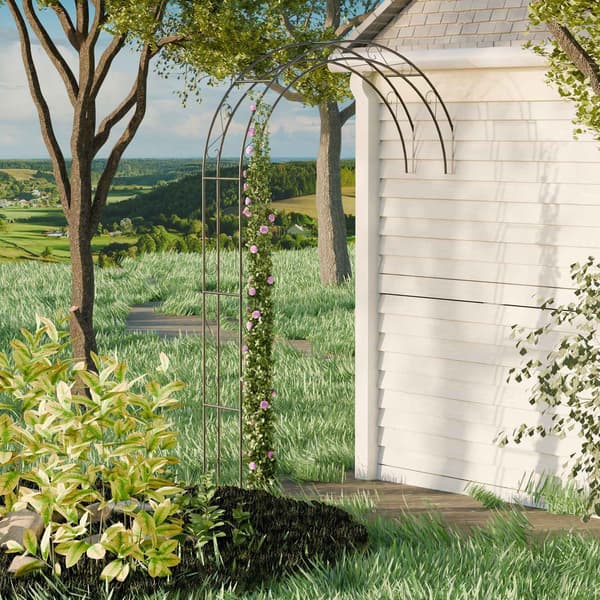 Sort metal havebue – Halv lysthus espalier