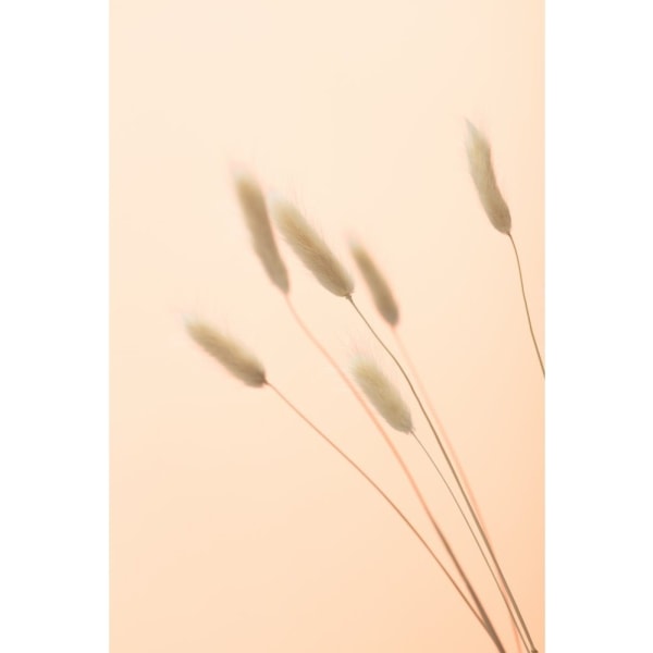 Bunny Grass Peach 03 - 21x30 cm