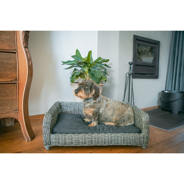 Lad os sove Hyggelig kurv Wicker Hundekurv M antracit