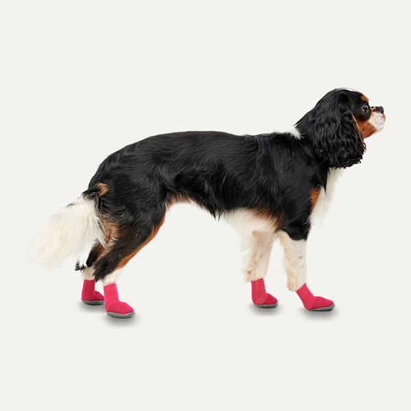 Gooeez Regular Dog Boots (2 kpl) 2XS punainen/musta