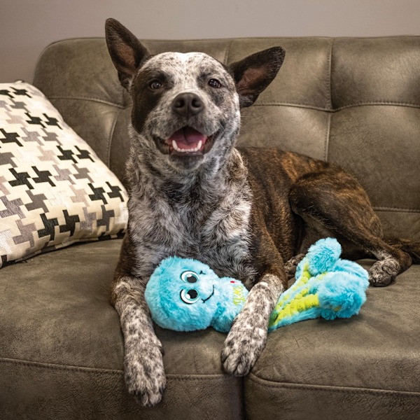 KONG Wubba Octopus Assorted Lg