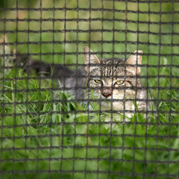 Sikkerhedsnetstativ trampolin