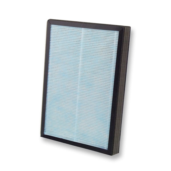 Esperanza Luftrenser Storm Filter H13