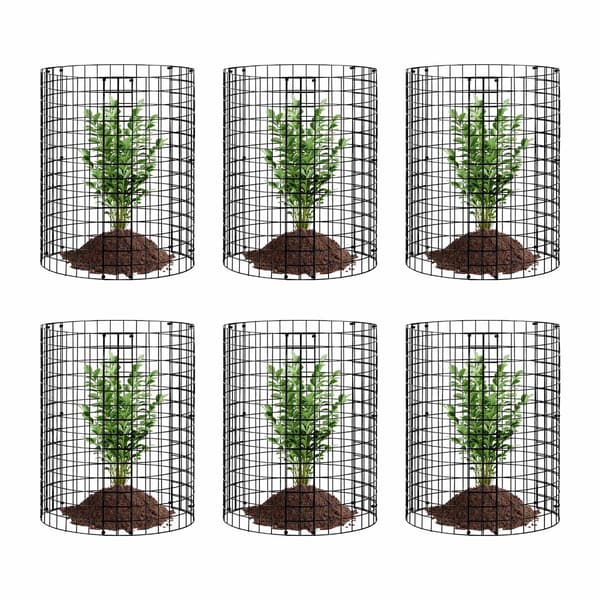 6-pack hönsnätsburar för växter, 30 x 35 cm