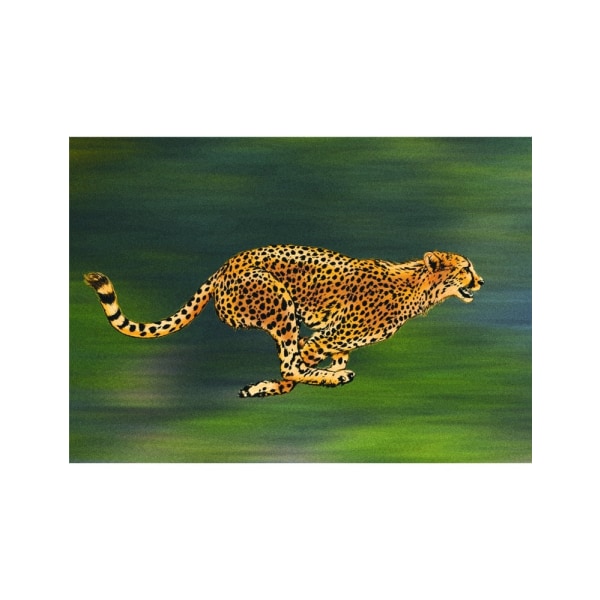 Cheetah Full Sprint - 70x100 cm
