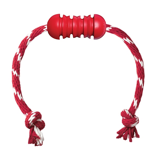 KONG Dental m/Rep Sm EU